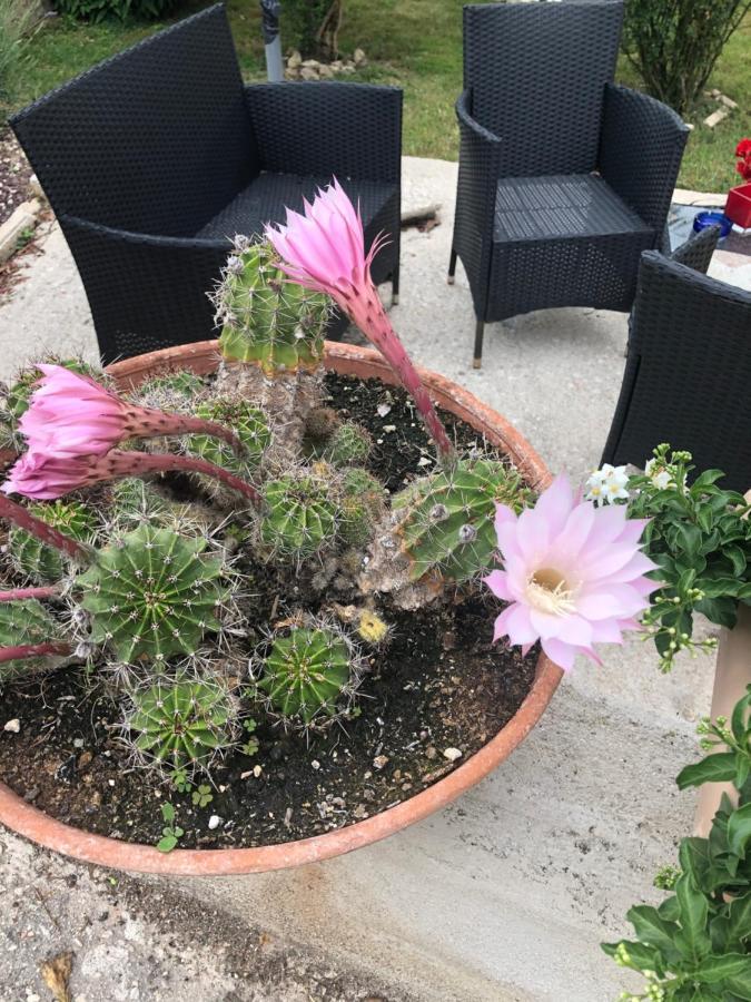 Il Girasole Apartamento Castel Ritaldi Exterior foto