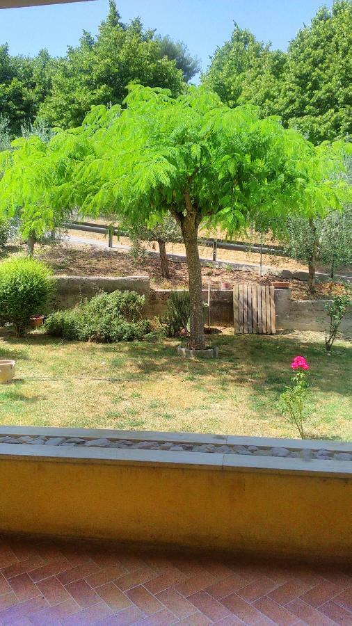 Il Girasole Apartamento Castel Ritaldi Exterior foto