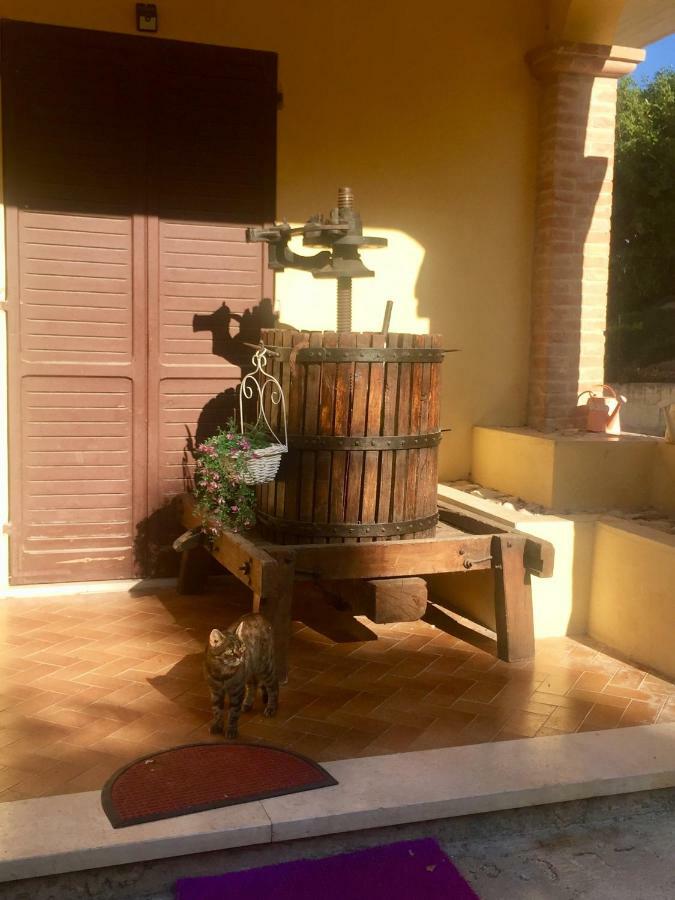 Il Girasole Apartamento Castel Ritaldi Exterior foto